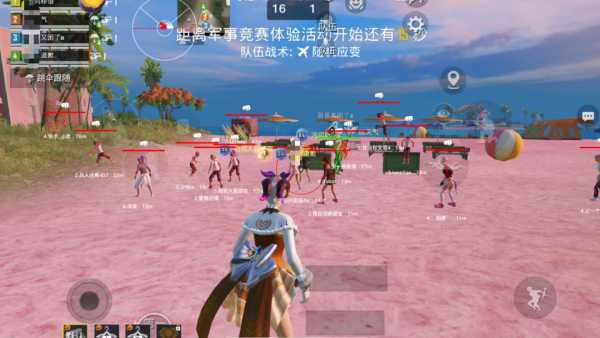和平精英《火锅》辅助