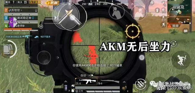 和平精英正规卖挂平台【小笼包一体直装】午后